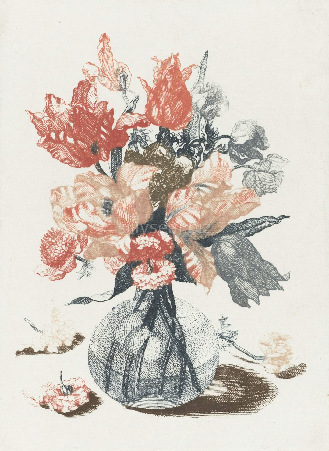 Brand Illustration