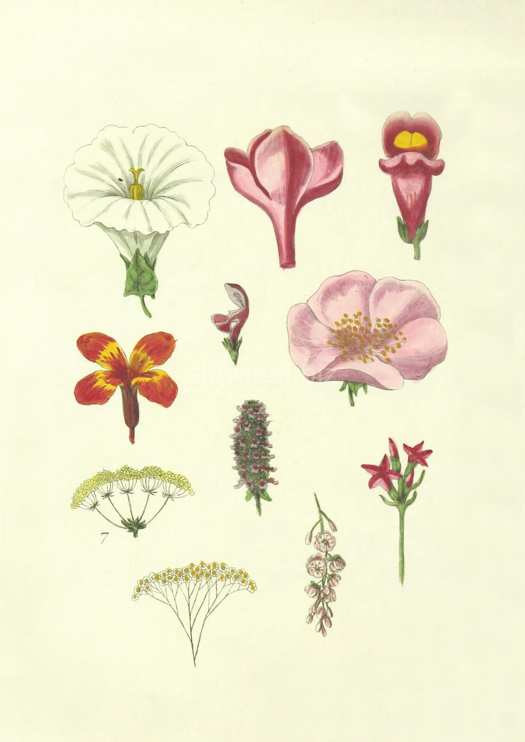 Art 4