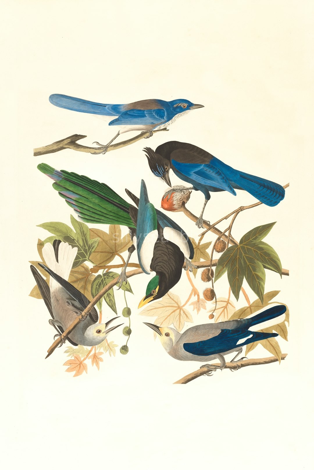 Art 3